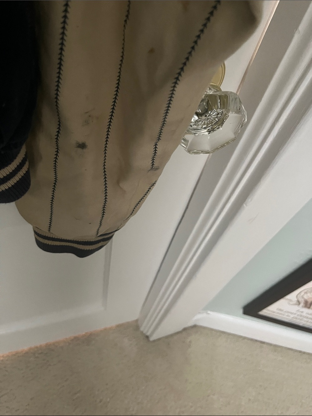 Vintage Detroit Tigers jacket - Picture 5 of 7